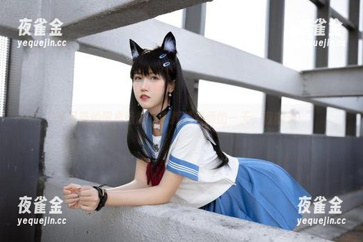 不呆猫 不呆猫的图库畅游:家教猫老师的一天,我的天!