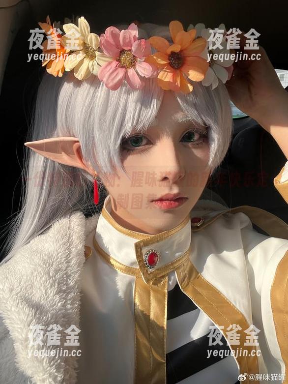 腥味猫罐 一份特别的礼物:腥味猫罐的新年快乐定制图集!